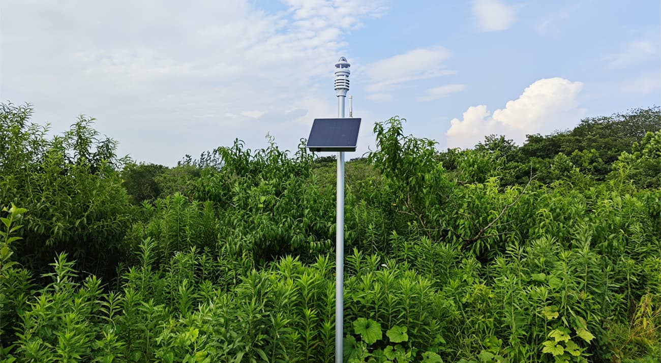 All-in-one IWM Compact Weather Station